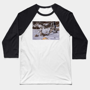 Artistic driftwood Baseball T-Shirt